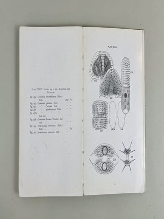 Preliminary Report on the Algae of the Fresh Waters of Connecticut