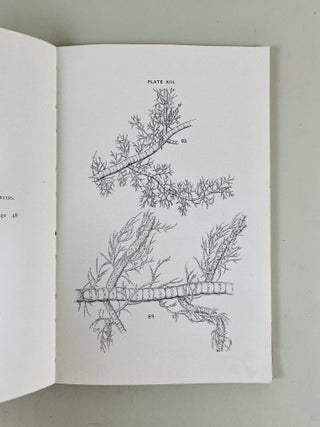 Preliminary Report on the Algae of the Fresh Waters of Connecticut
