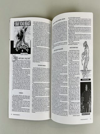 Strange Magazine, Vol. 1, No. 11