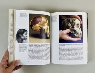 The Making of Mankind