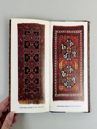 Oriental Rugs in Colour