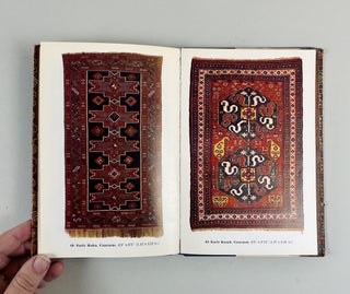 Oriental Rugs in Colour
